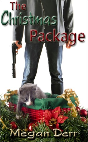The Christmas Package