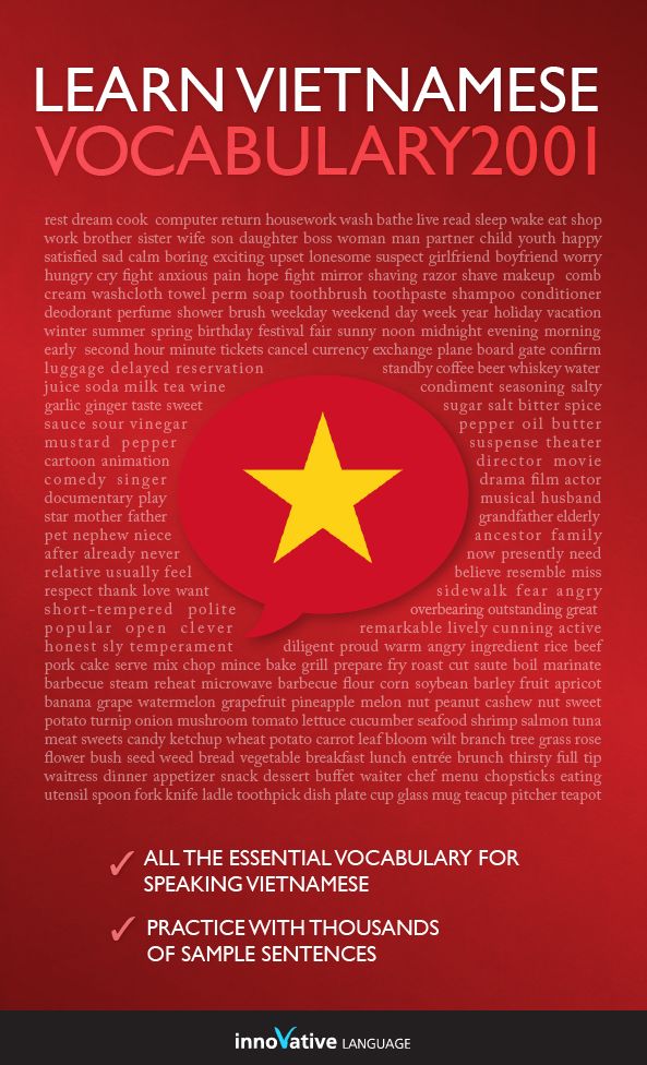 Learn Vietnamese - Word Power 2001