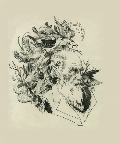 The Descent of Man, and Selection in Relation to Sex
