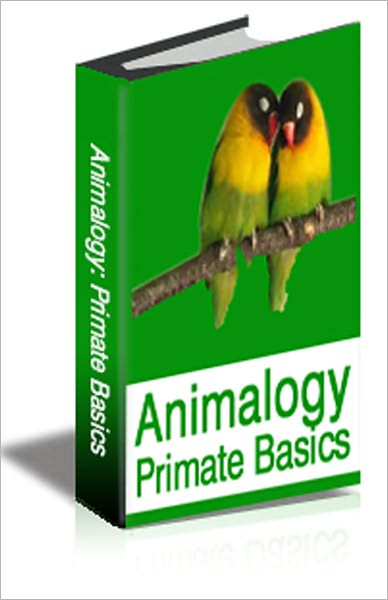 Animalogy: Primate Basics