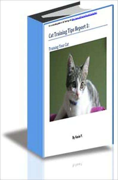 Cat Training Tips