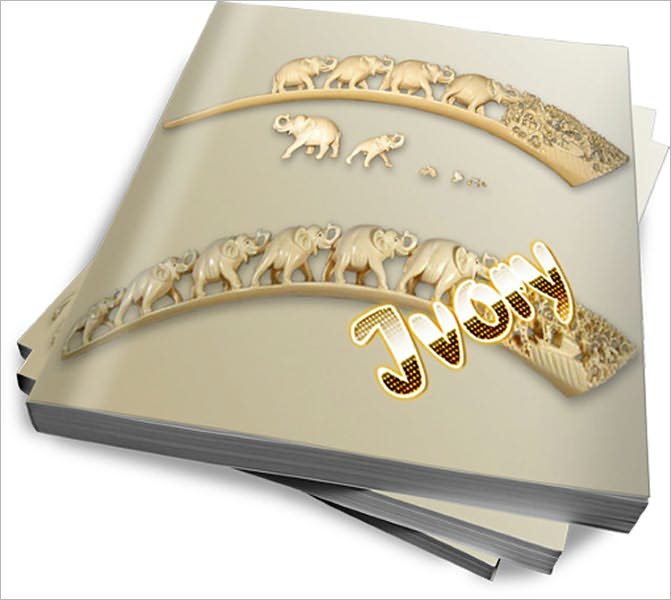What More To Know About Ivory - Ivory Care and Trade Facts