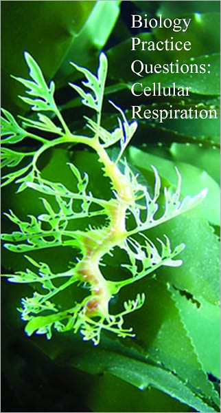 Biology Practice Questions: Cellular Respiration
