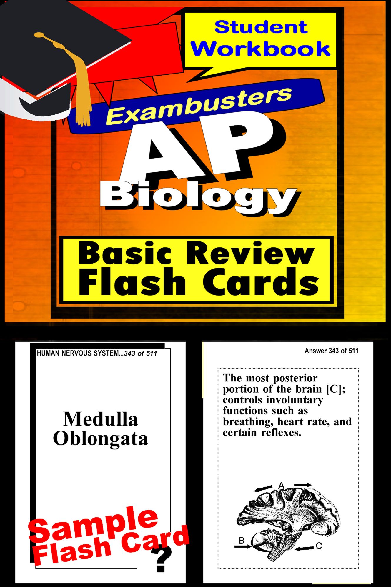 AP Biology Study Guide--AP Science Flashcards--AP Prep Workbook