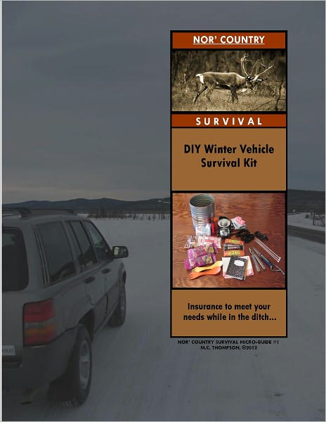 DIY Winter Vehicle Survival Kit