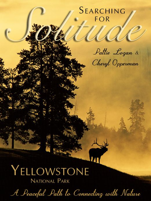 Searching for Solitude Yellowstone National Park: A Peaceful Path to Connecting with Nature