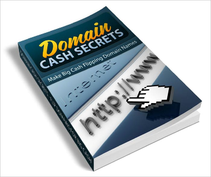 Domain Cash Secrets Domain Flipping