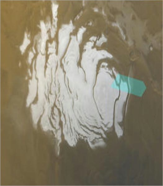 Water Ice Confirmed at Mars' South Polar Cap