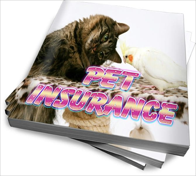 Know More About Pet Insurance - Read On!