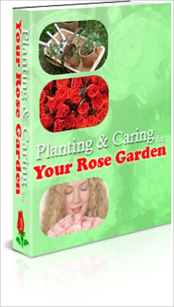 Planting & Caring for Your Rose Garden