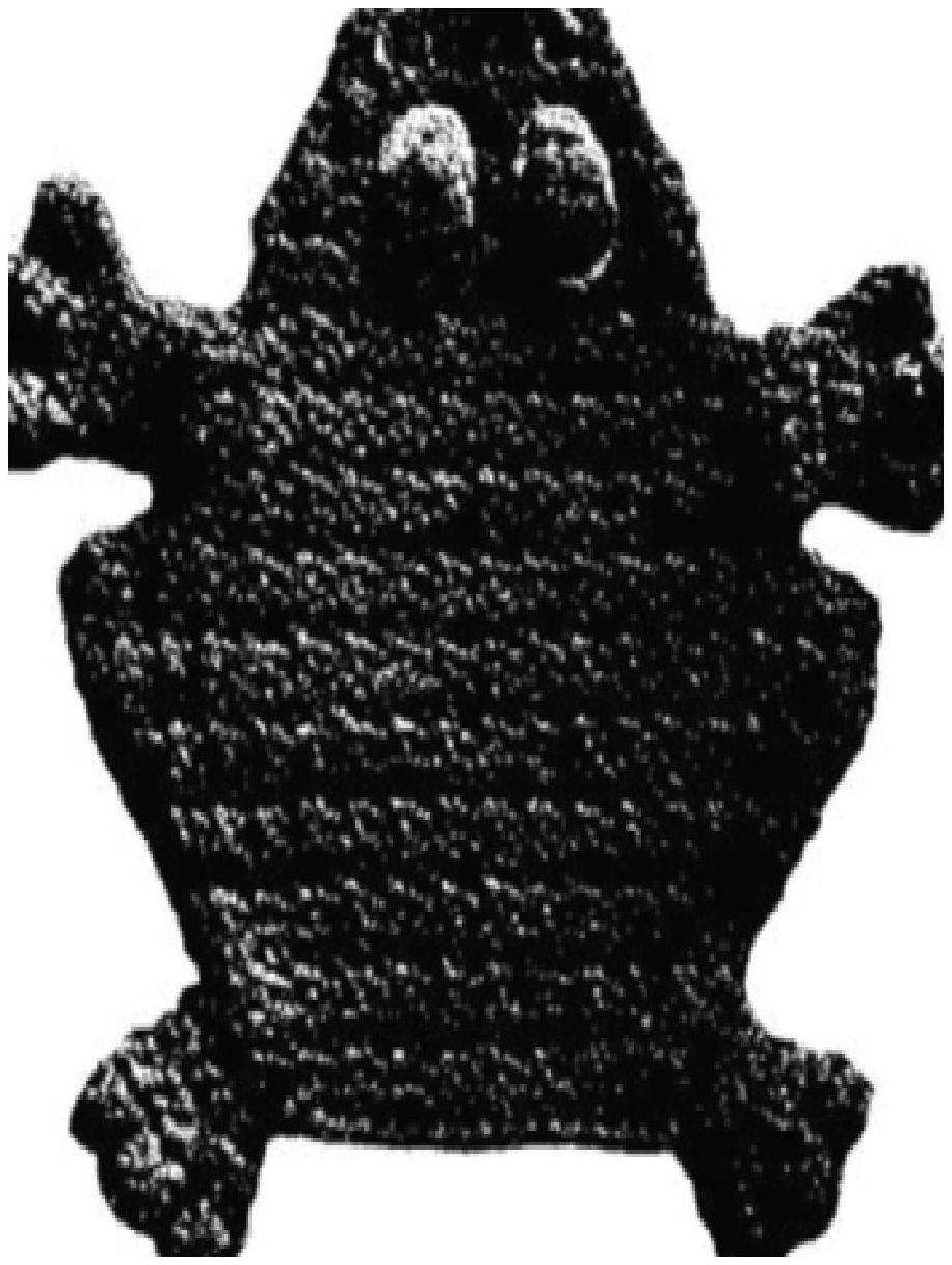 PATTERN #0442 FROGGIE POTHOLDER VINTAGE CROCHET
