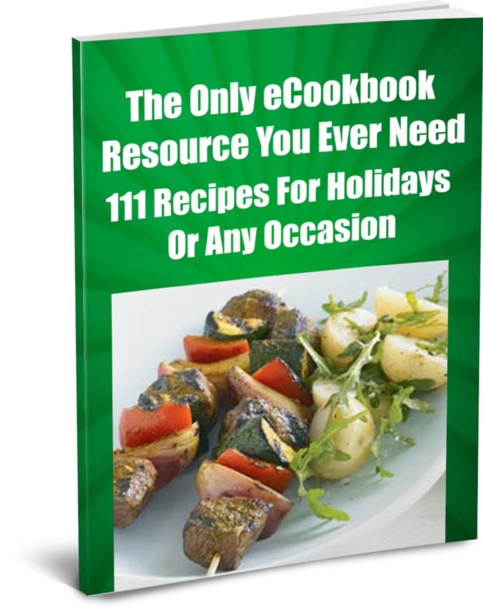 The Only eCookbook Resource You Ever Need 111 Recipes For Holidays or Any Occasion