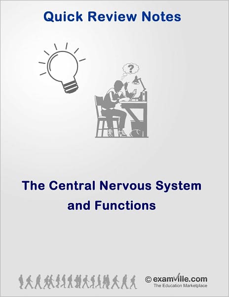 Central Nervous System and Functions