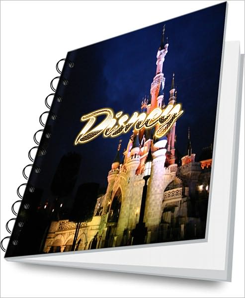 Disney Tour Fun Guide