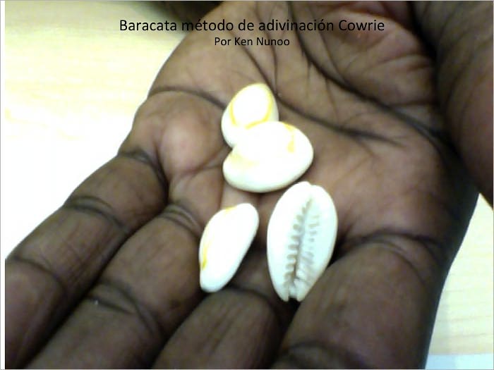 Baracata m&eacute;todo de adivinaci&oacute;n Cowrie