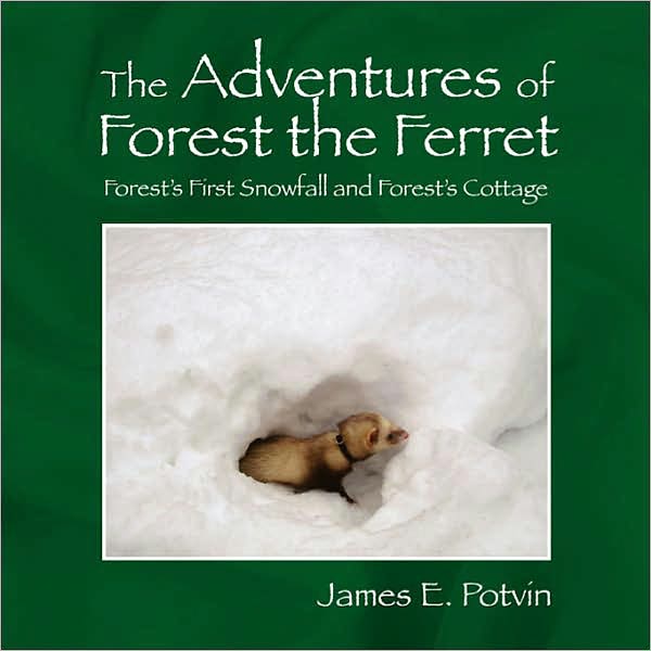 The Adventures of Forest the Ferret