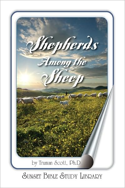 Shepherd Among the Sheep