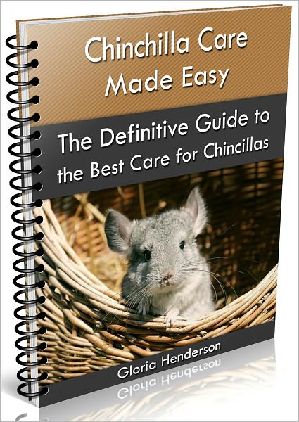 Chinchilla Care Made Easy