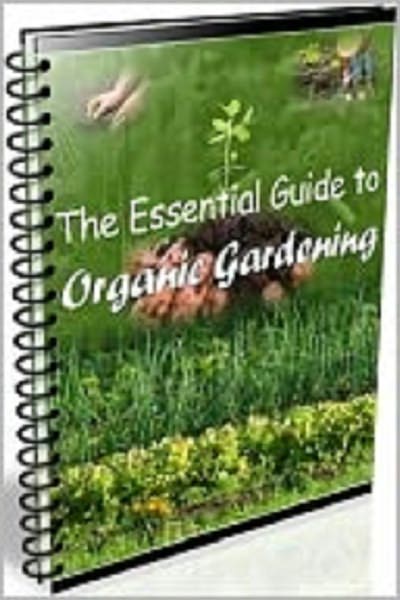 Essential Guide to Organic Gardening