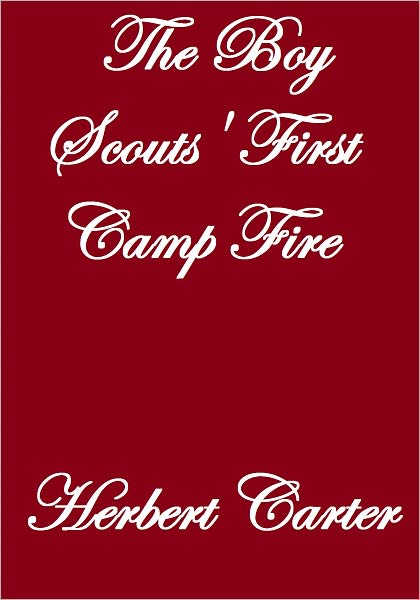 The Boy Scouts' First Camp Fire
