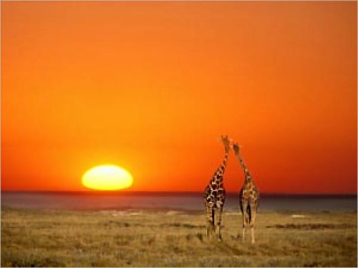 Tales of Africa