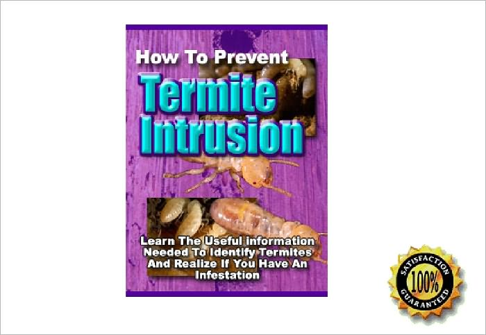 How to Prevent Termite Intrusion - Learn the Useful Information Needed To Identify Termites and Realize If You Have an Infestation! AAA+++