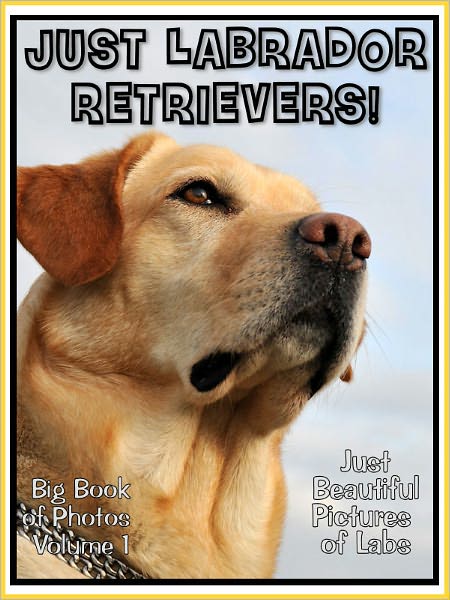 Just Labrador Retriever Photos! Big Book of Lab Dog Photographs & Pictures Vol. 1