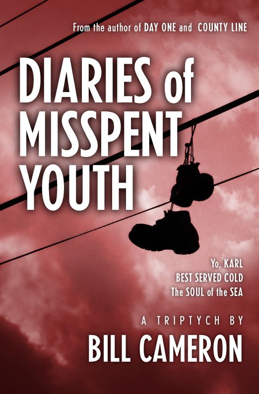 Diaries of Misspent Youth