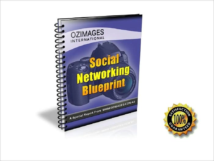 Social Networking Blueprint - Step-By-Step Blueprint For Marketing Any Business Using Social Web Applications! AAA+++