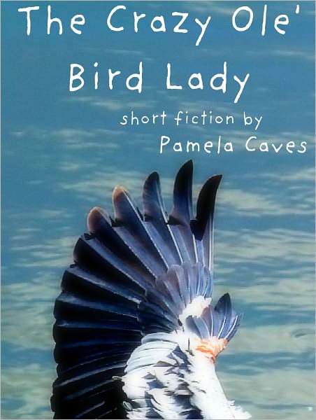 The Crazy Ole' Bird Lady