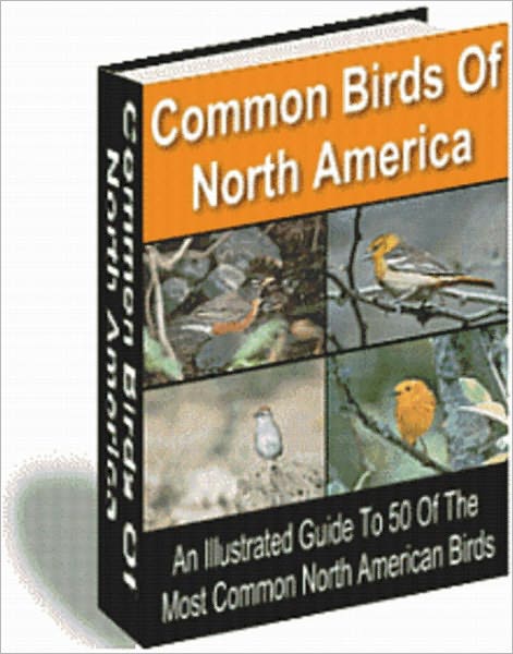 Common Birds of North America