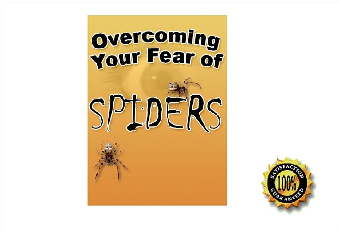 OVERCOMING YOUR FEAR OF SPIDERS
