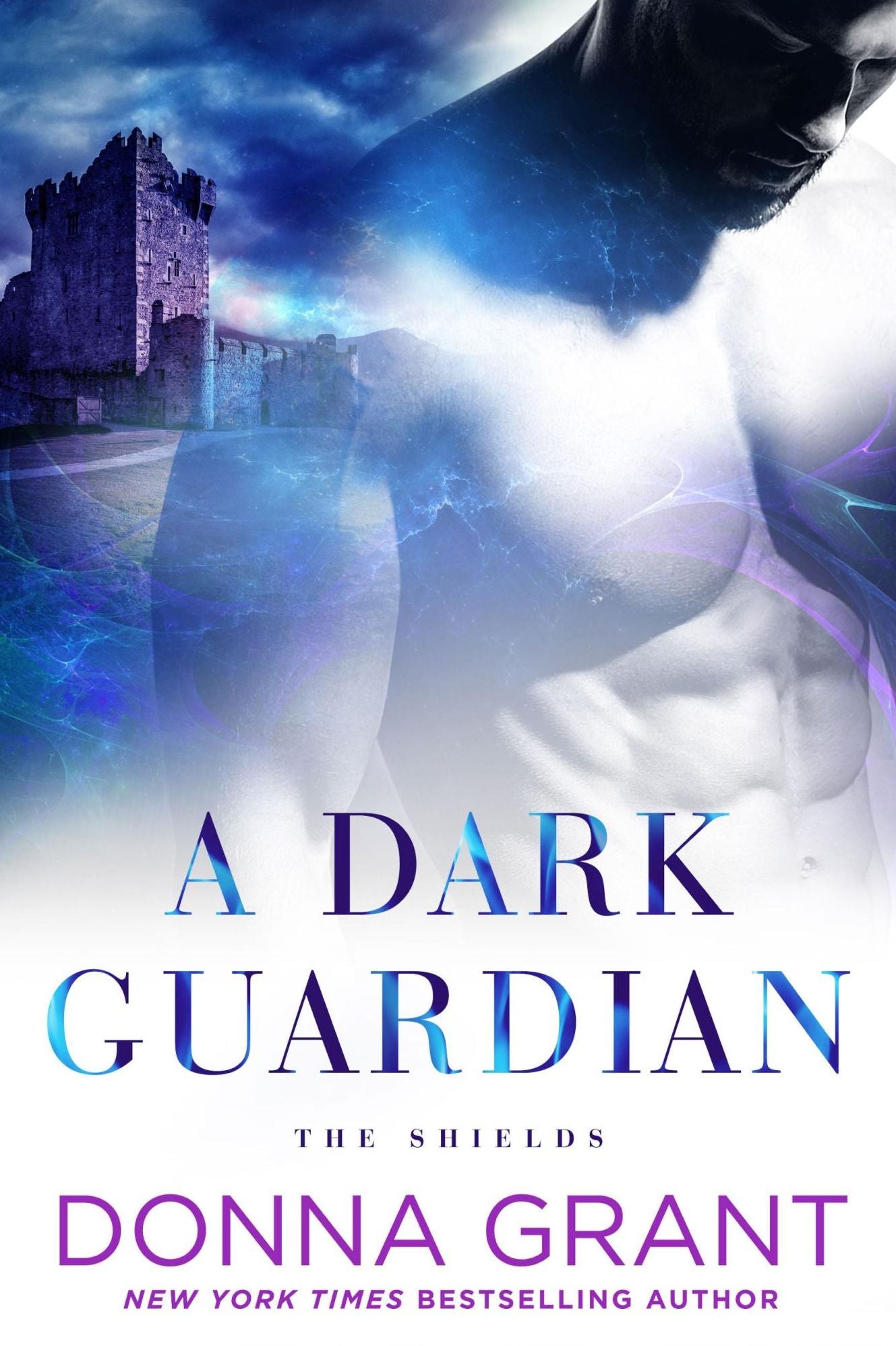 A Dark Guardian (Shields Series #1)