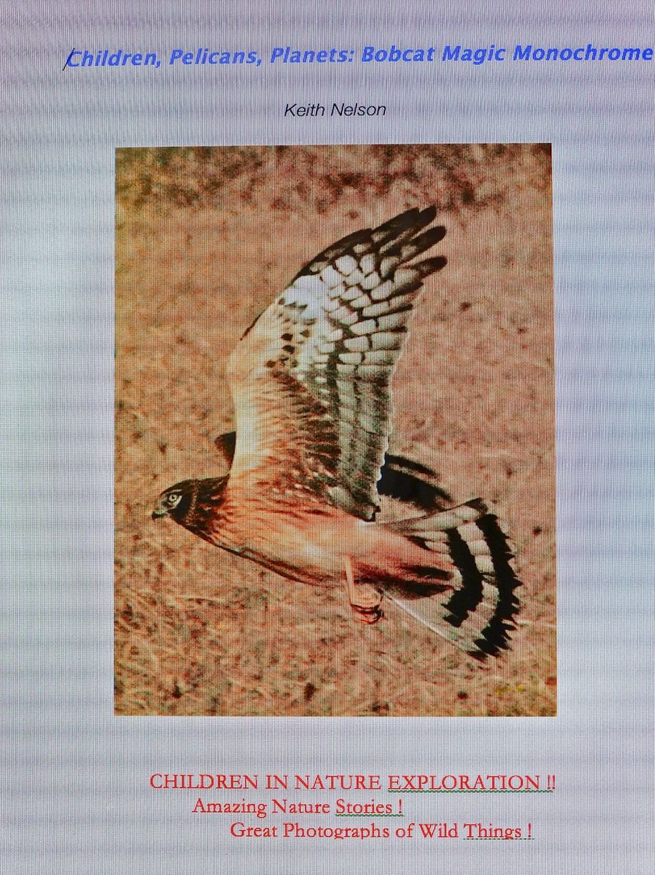Children, Pelicans, Planets: Bobcat Magic Monochrome