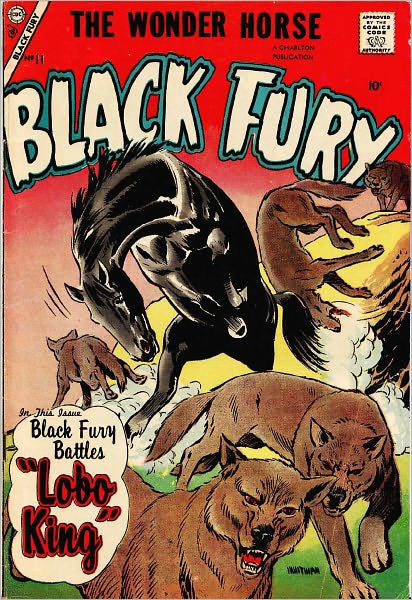 Black Fury Number 11 Western Comic Book