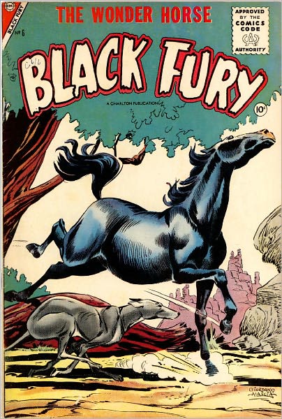 Black Fury Number 6 Western Comic Book