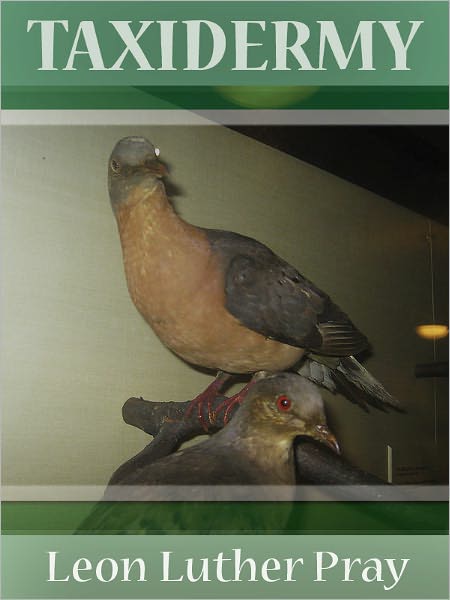 Taxidermy (with illustrations)