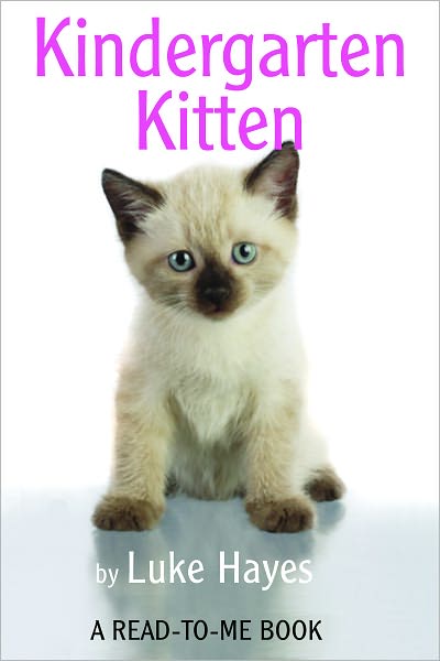 Kindergarten Kitten