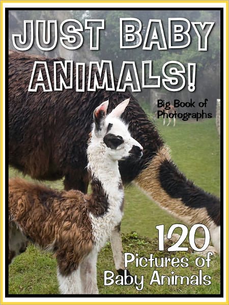 120 Pictures: Just Baby Animals!