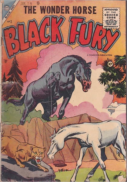 Black Fury Number 3 Western Comic Book