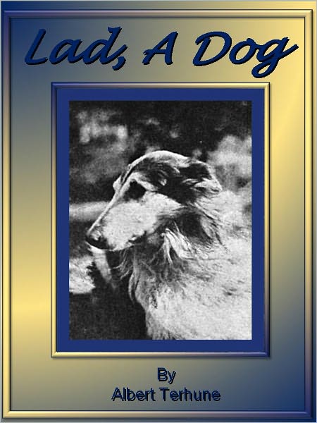 Lad: A Dog