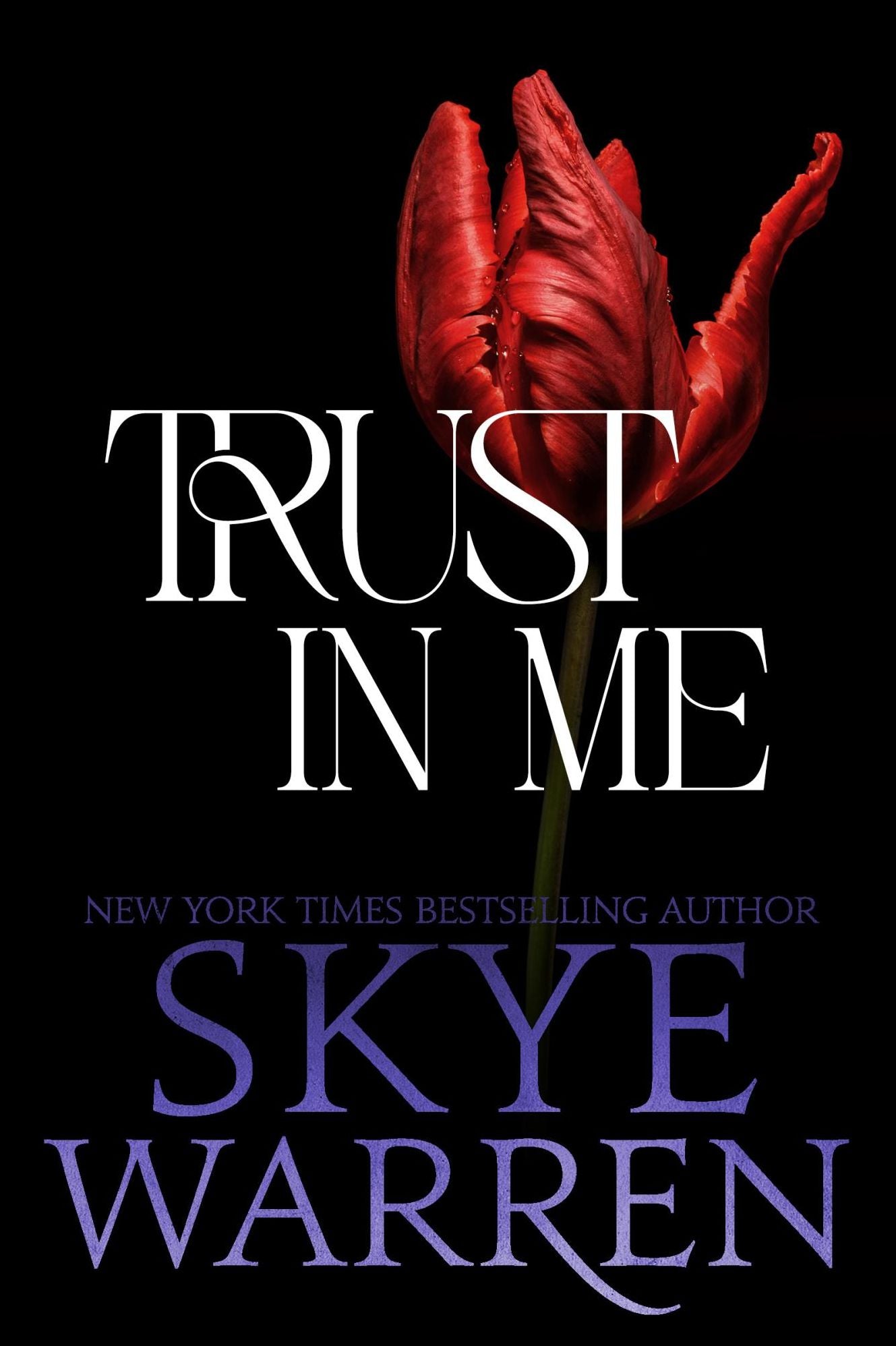 Trust in Me: A Dark Romance Novel