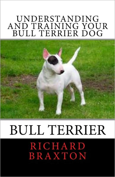 Understanding and Training your Bull Terrier Dog