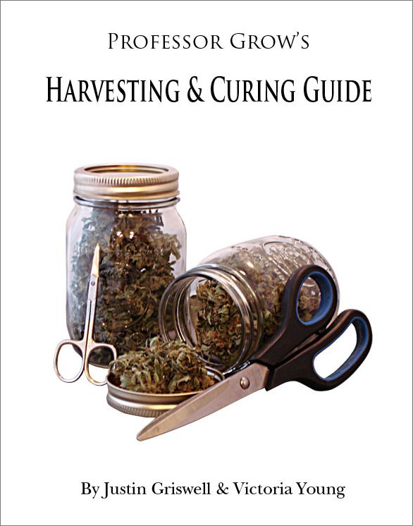 Harvesting & Curing Guide