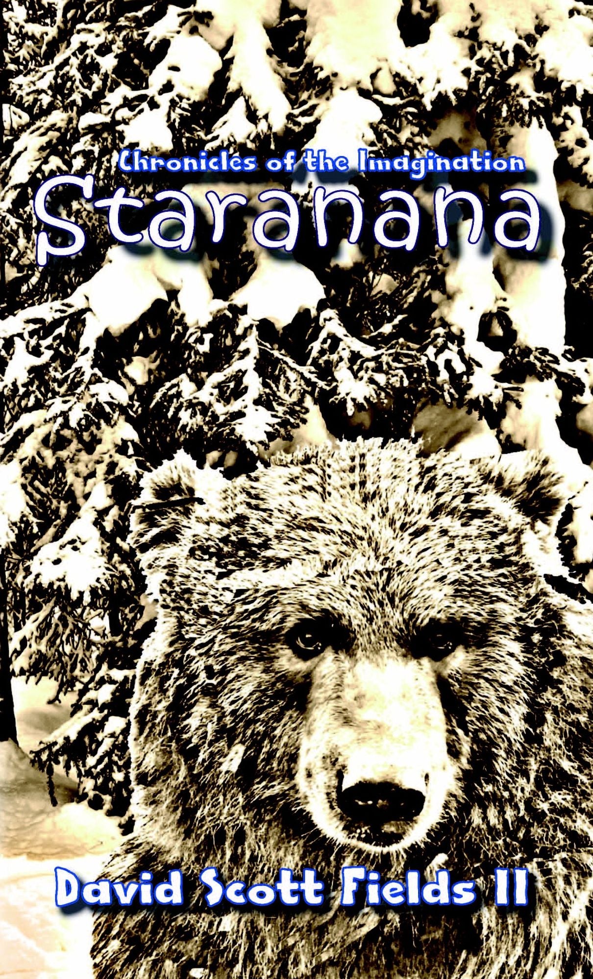 Book 01 - Chronicles of the Imagination: Staranana