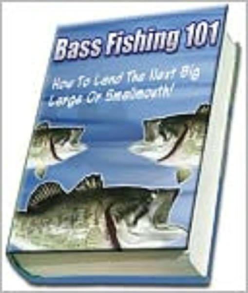 Bass Fishing 101