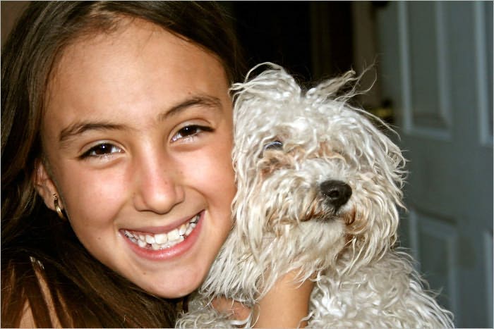 How to Choose a Pet: Parents Guide in Choosing the Right Pet for Your Kid