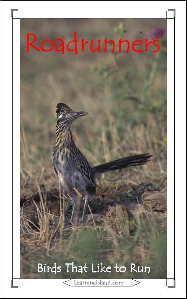 Roadrunners: Birds That Like to Run