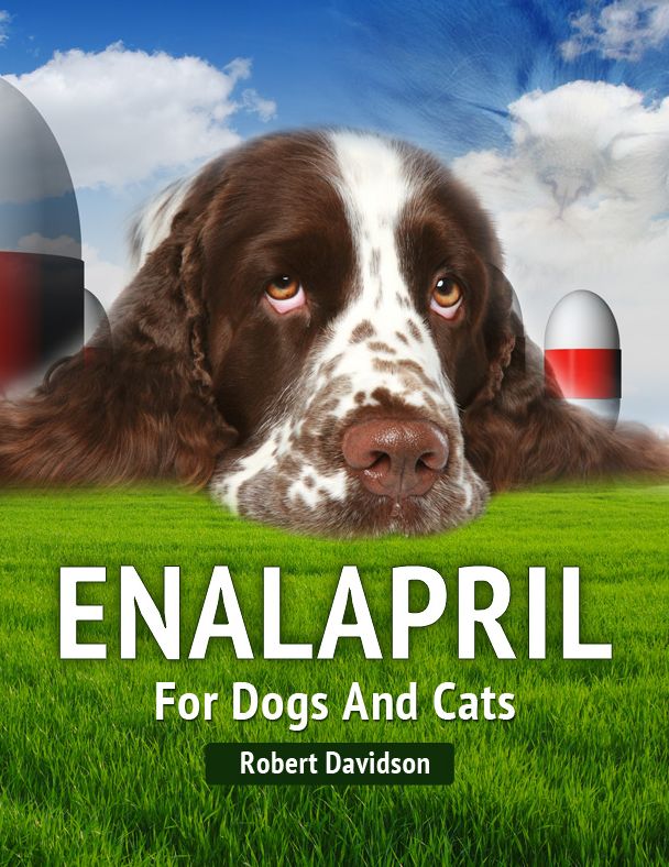Enalapril For Dogs and Cats (Pet Medicine)