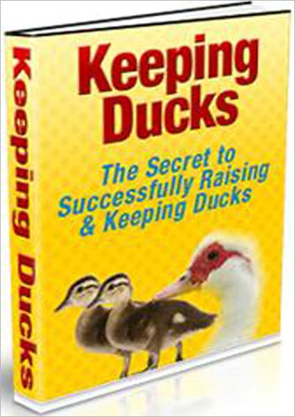Keeping Ducks: The Secret to Successfully Raising & Keeping Ducks